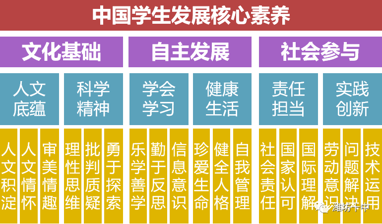 中小学教育迈向素质化与多样化发展之路