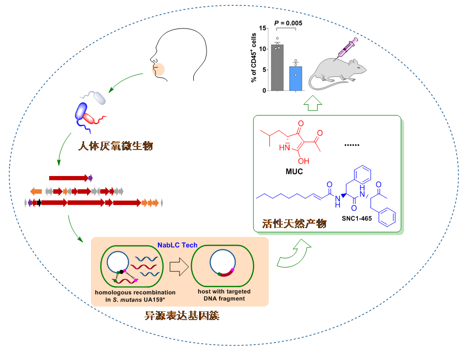 重大科研发现重塑生物学理论