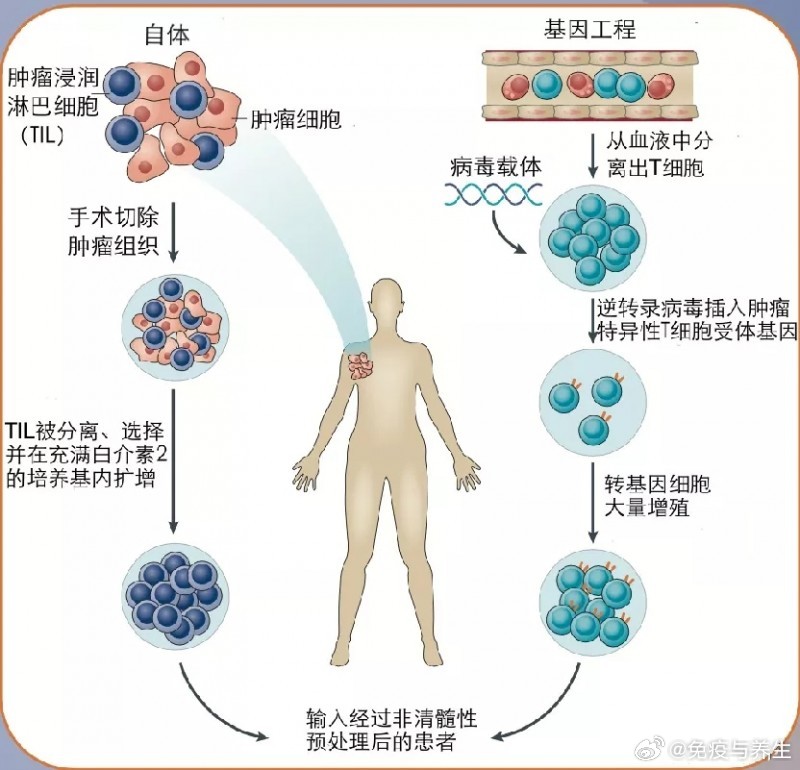 新型抗癌疗法带来患者新希望