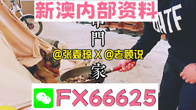 新澳门管家婆一句,推动智能化产业变革_智变版42.93.46