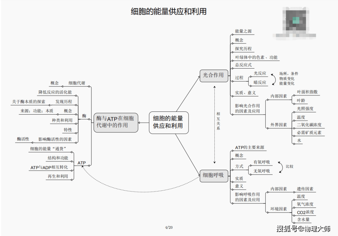 白小姐三肖三期必出一期开奖虎年,智能优化流程掌控_焕新版87.00.93