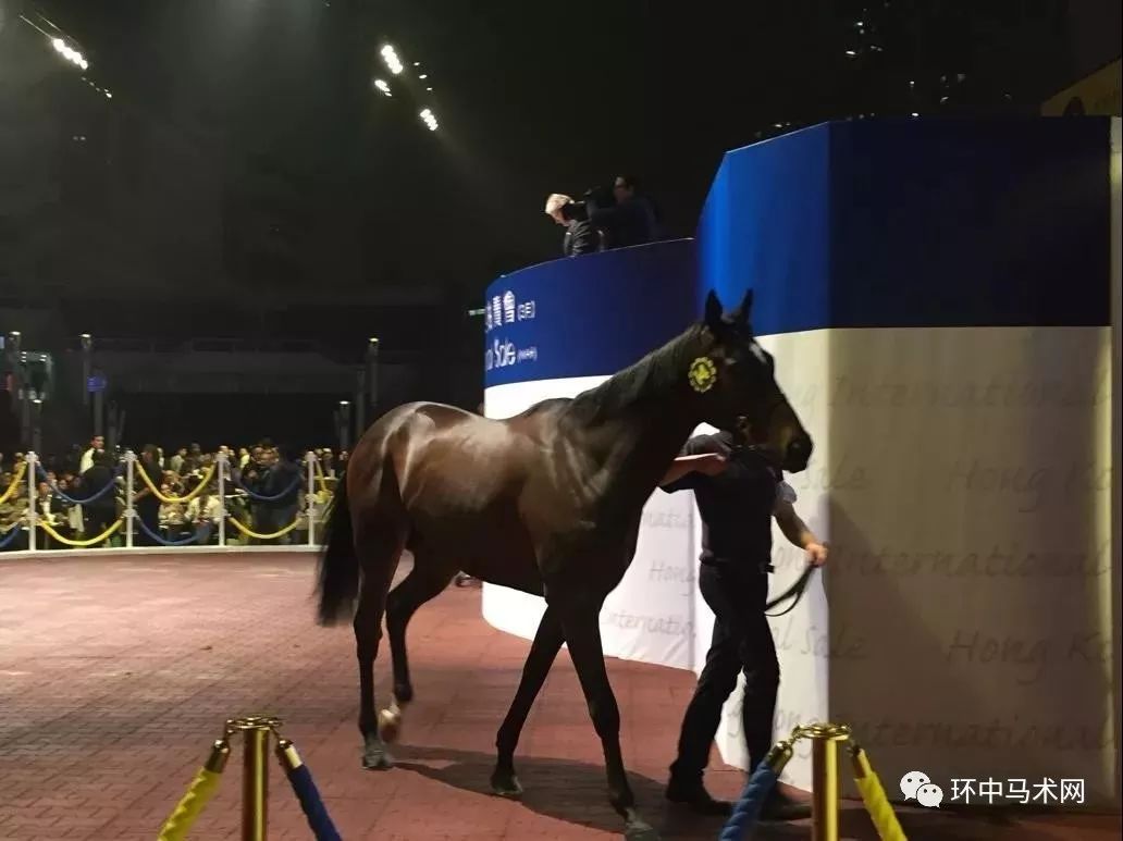 香港马资料更新最快的,区域链资源协同方案_点燃未来72.45.19