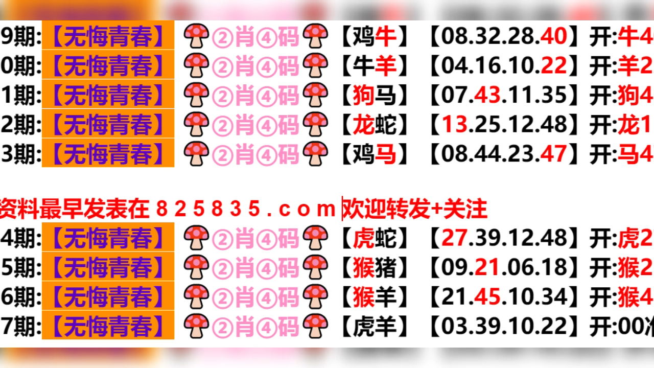 2024新澳门天天开好彩大全孔的五伏,精准实践科技引领_新篇飞跃00.74.89