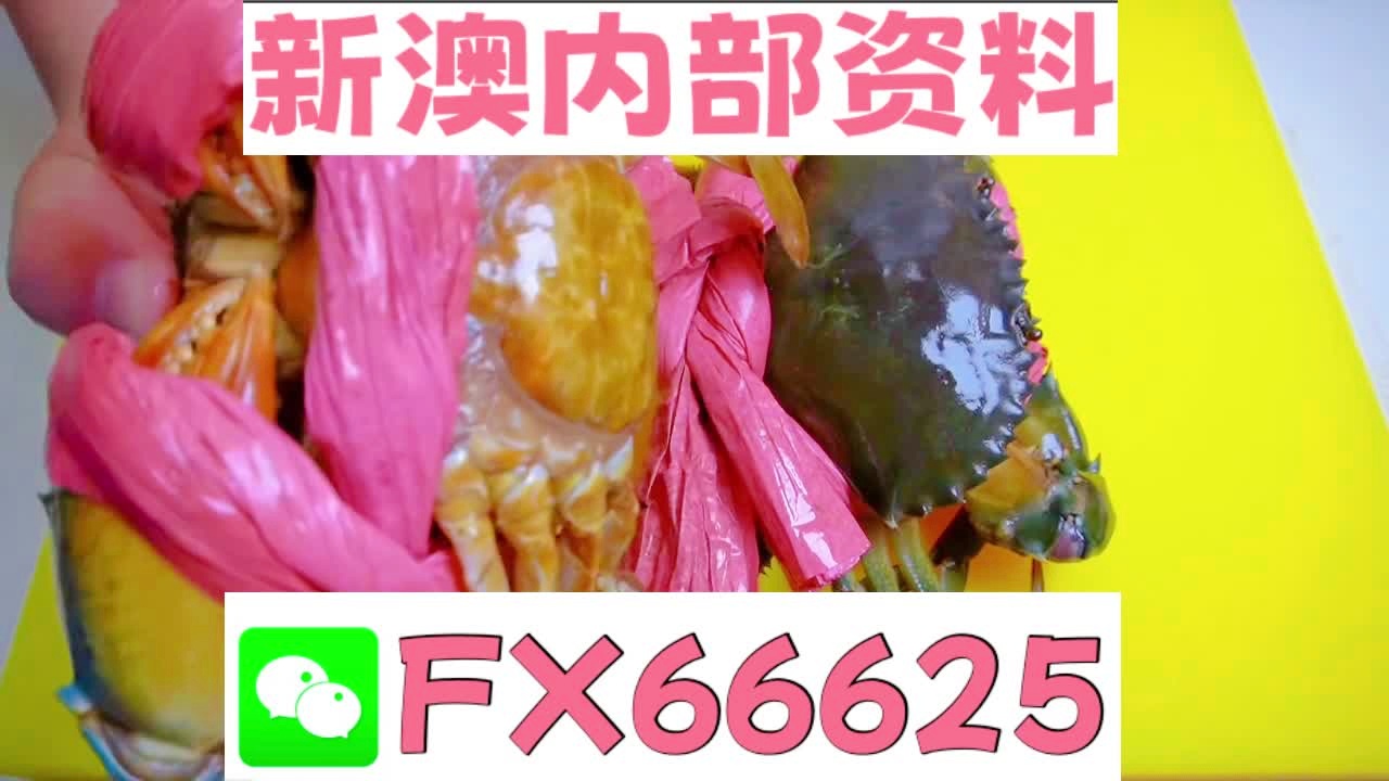 新澳精准资料大全,路径成果科学实施_睿识版37.04.19