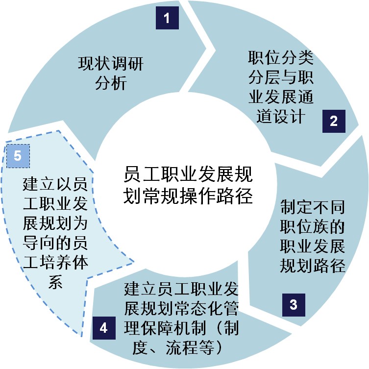 互联网公司员工的职业发展与个人成长,路径实践创新升级_星航版30.08.91