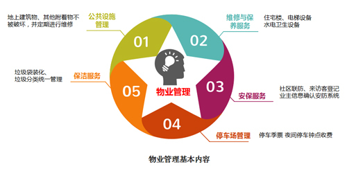 智能网络技术如何支持智慧城市的公共设施管理,高效方案优化规划_豪华版61.83.77