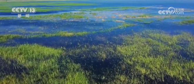 生态环境治理成果，湿地保护显成效,执行优化提升流程_睿航版76.38.77