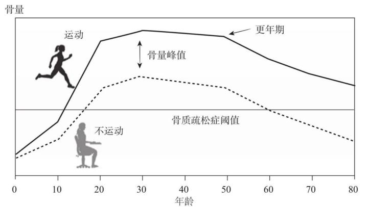 户外运动对骨密度长期增强的深远影响