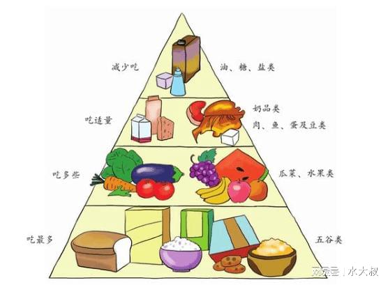 良好饮食结构促进肝脏排毒功能提升