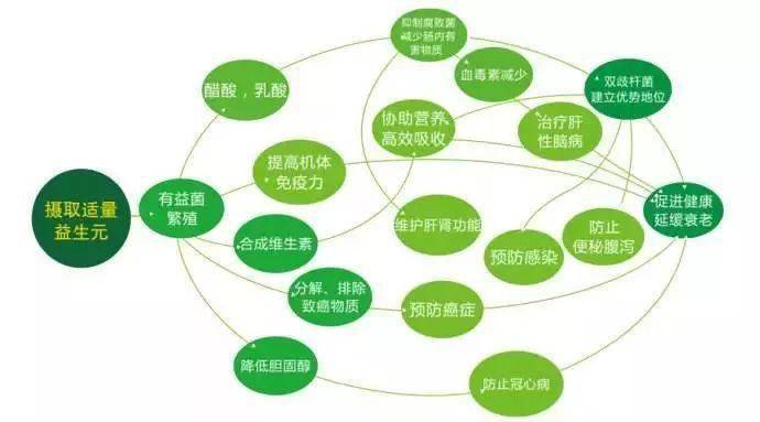 提高膳食纤维摄入对肠道健康的积极影响