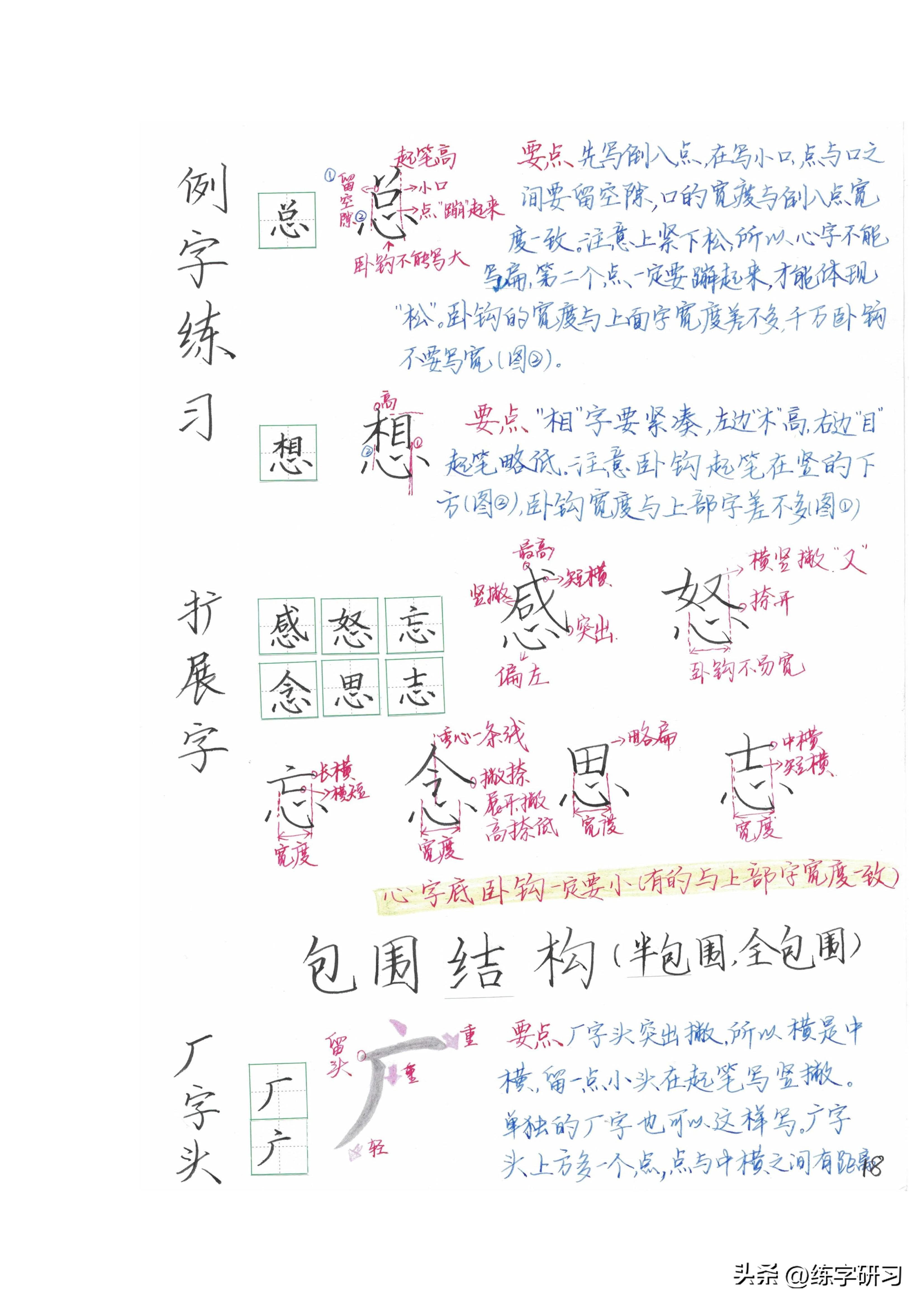 课程结构改革对学生能力的积极影响与促进作用