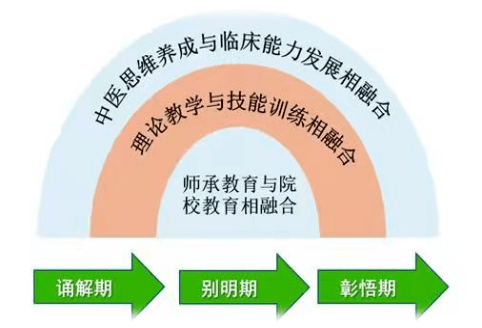 传统与现代教育理念的交融发展