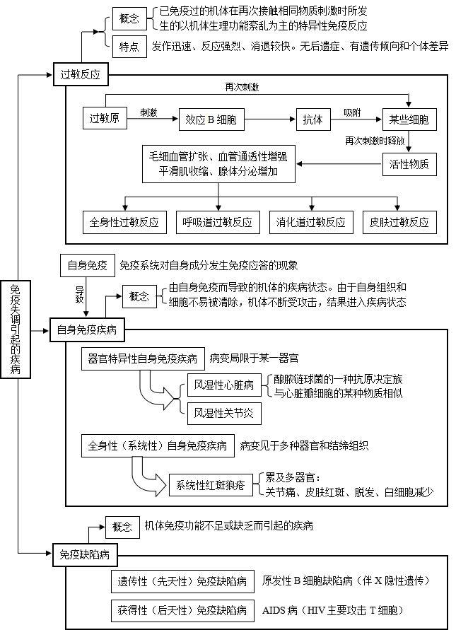 思维导图在知识理解中的关键作用与策略应用