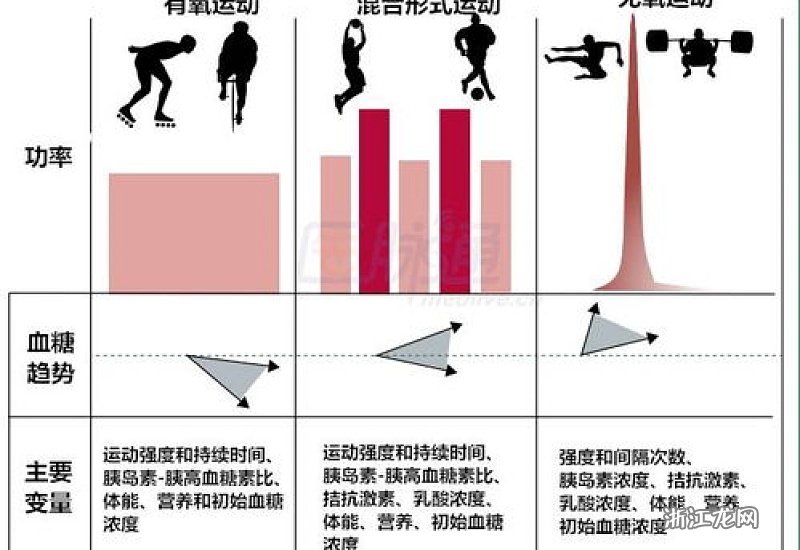 身体活动量对血脂和血糖水平的影响研究