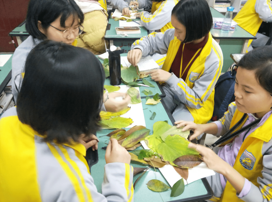 艺术创作对学生自我表达的启发与影响