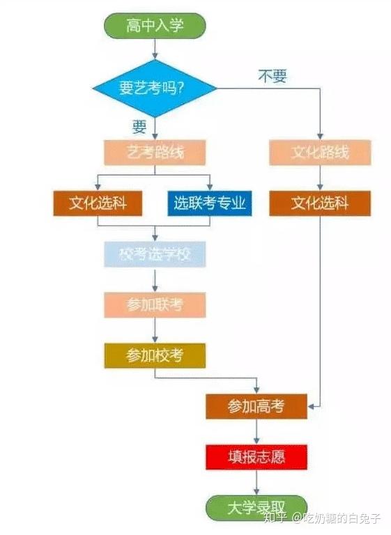 高中阶段学科选择对学子发展路径的深远影响