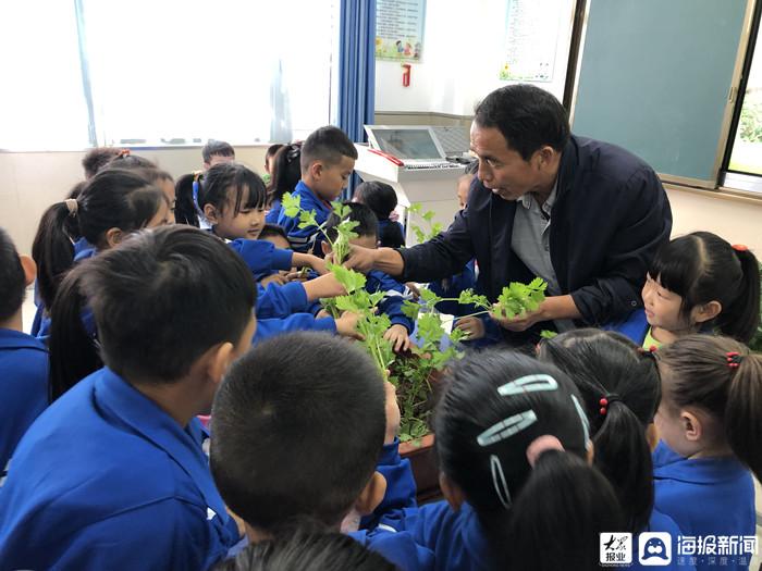 实践活动助力学生社会责任感培养