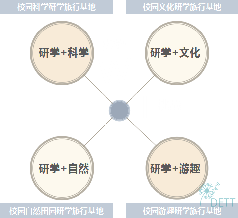 竞争与合作并重，学习中的平衡之道