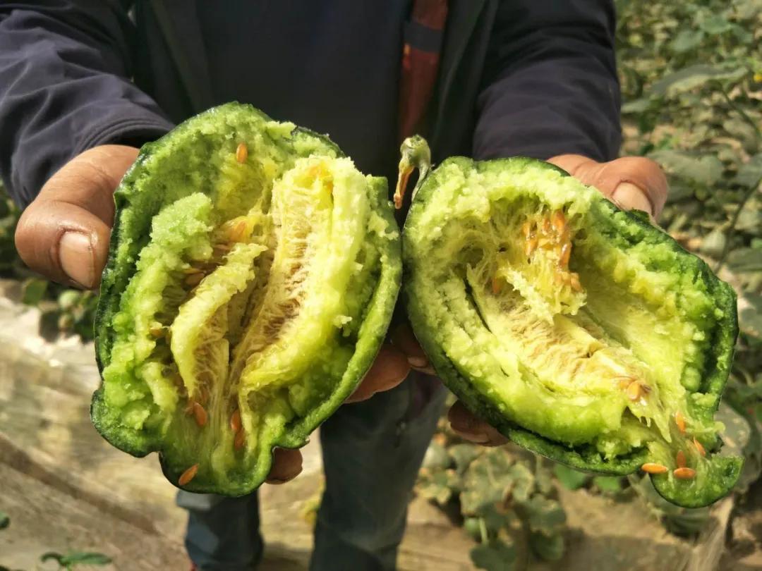 节日灯笼造型，地域特色与创意想象力的展现