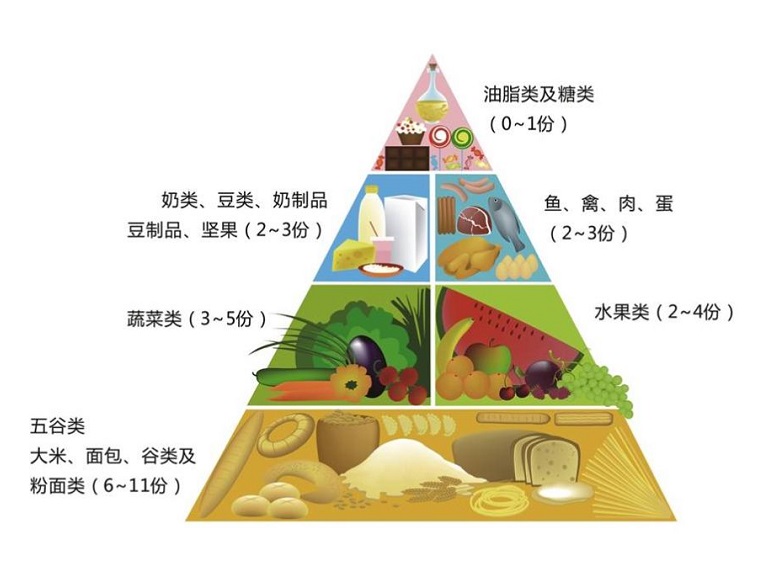 植物饮食对身体自然调节能力的探索与意义