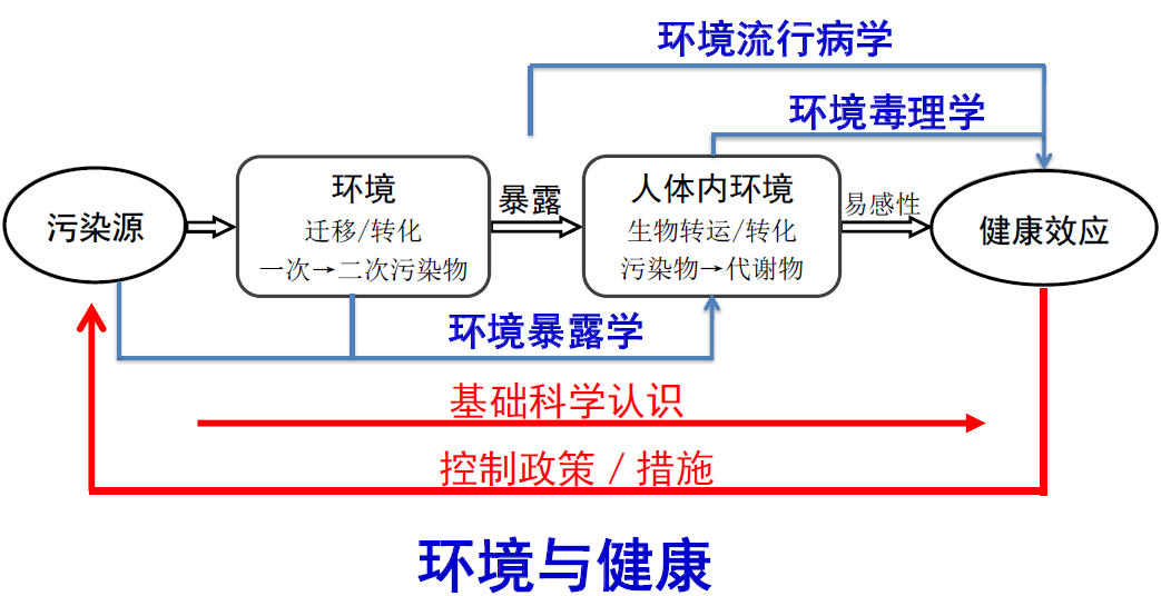 环境污染对身体机能影响的研究及对策探讨