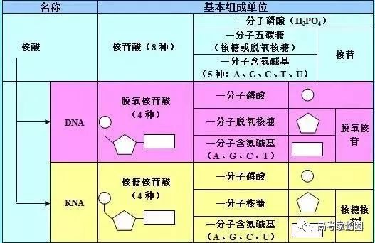 2024年12月17日 第30页