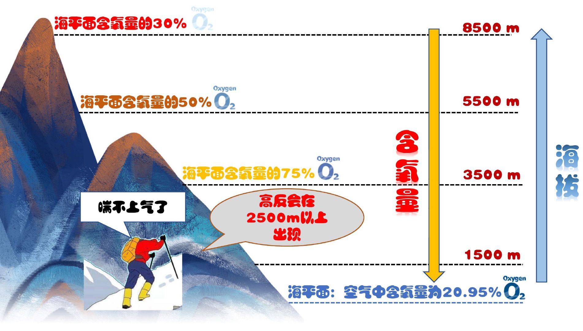 陌若惜 第3页