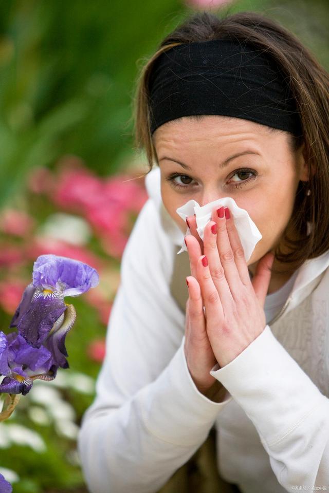 空气污染对身体免疫系统调节机制的影响研究