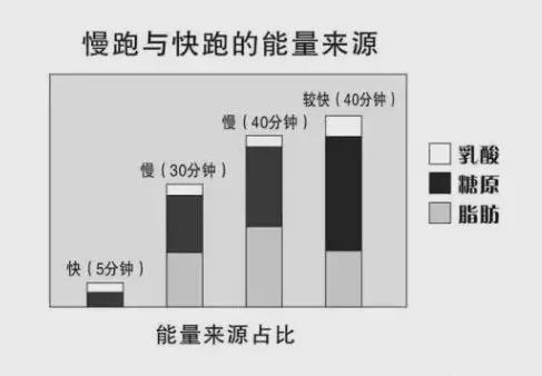 慢跑与快走结合模式对代谢速率的影响研究