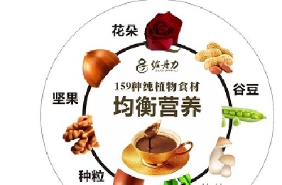 含锌食品对精力分配与专注力的影响研究