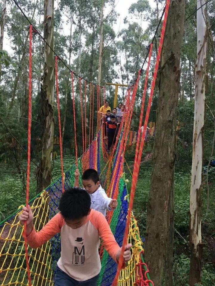 传统游戏参与及规则传递的社会规范探究