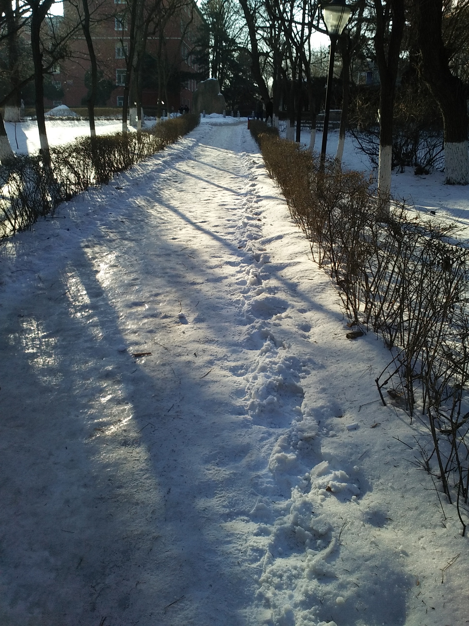 冬日踏雪无痕，心境与反思之旅