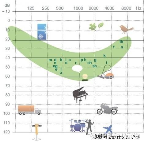 2024年12月18日 第11页