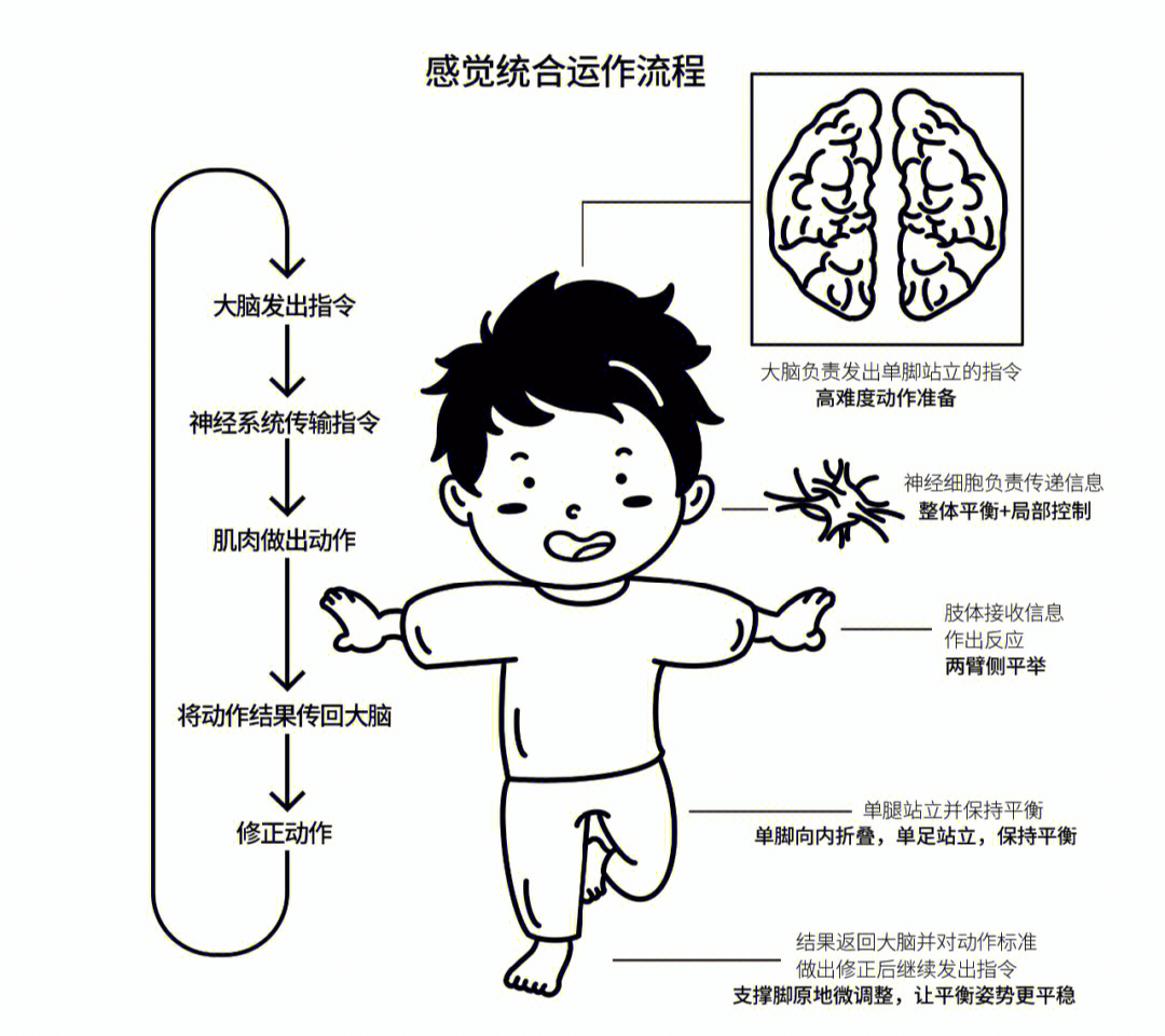 多维度触觉活动中的感官觉醒表现