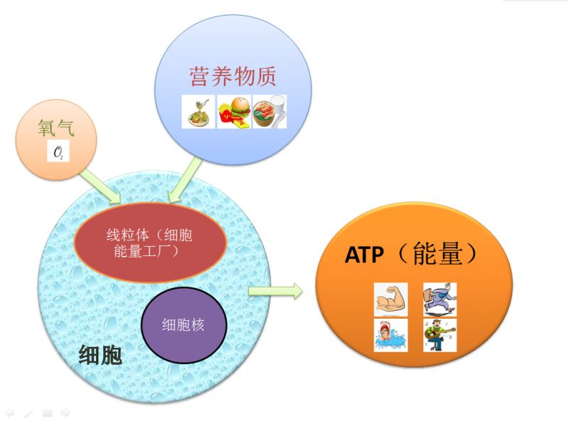 感官训练，深化环境理解的必经之路