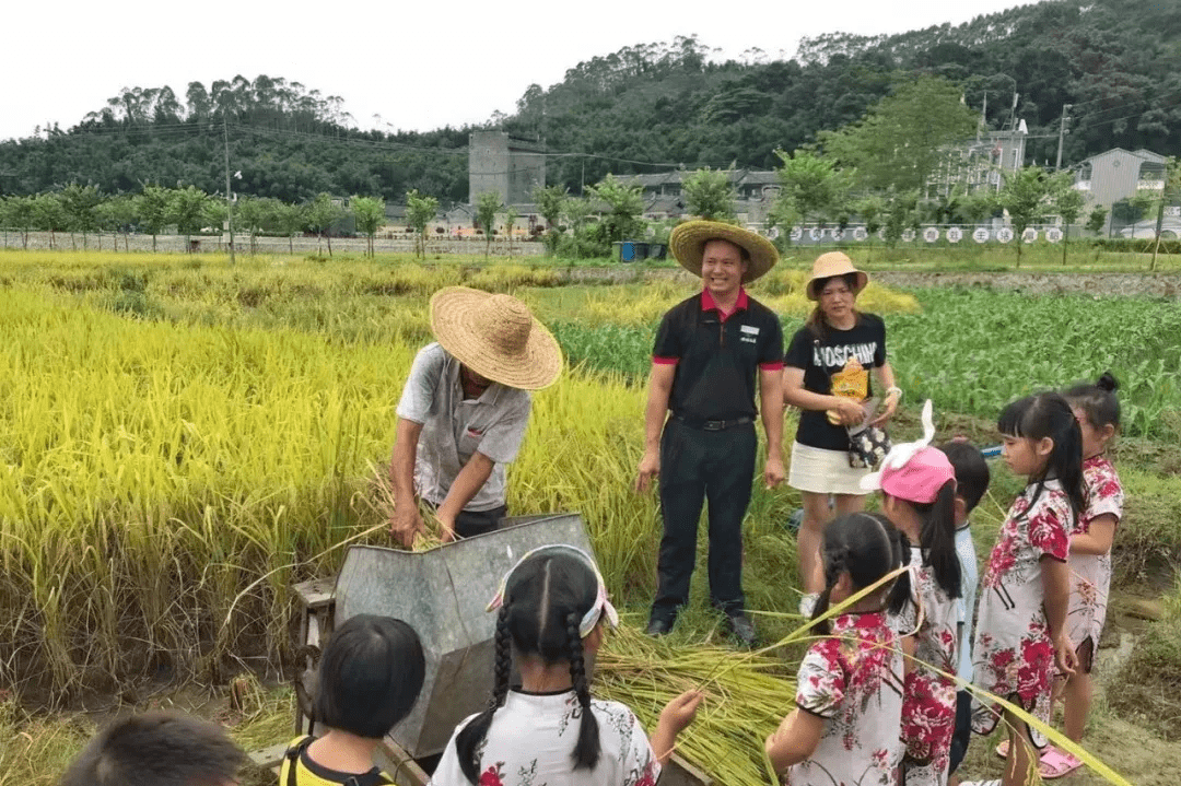 南方竹林文化对手工艺与传统艺术的启迪