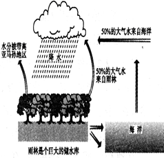 雨林地区的气候调节功能与保护价值评估研究综述