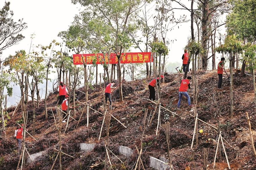 沿海防护林的生态功能与区域经济协同增长研究