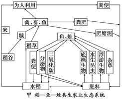 农田生态系统，传统知识与现代管理的融合之道