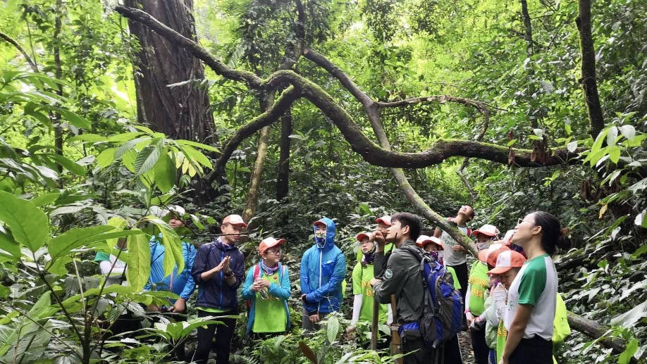 热带雨林地区的文化传承与生态保护融合之道