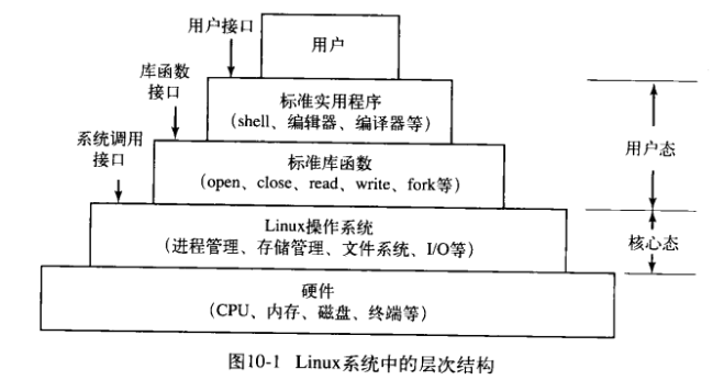 步行对现代都市心肺系统的益处探究