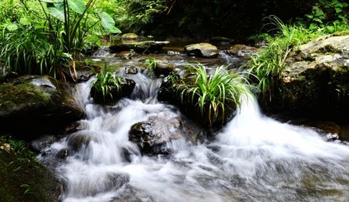 小溪流水音助力耳部疲劳修复秘籍