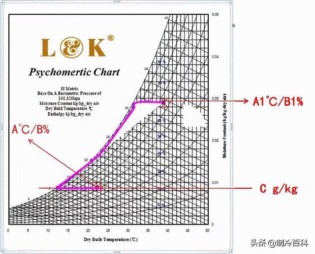 树荫下聚会活动的舒适气候调控，温度与湿度管理之道