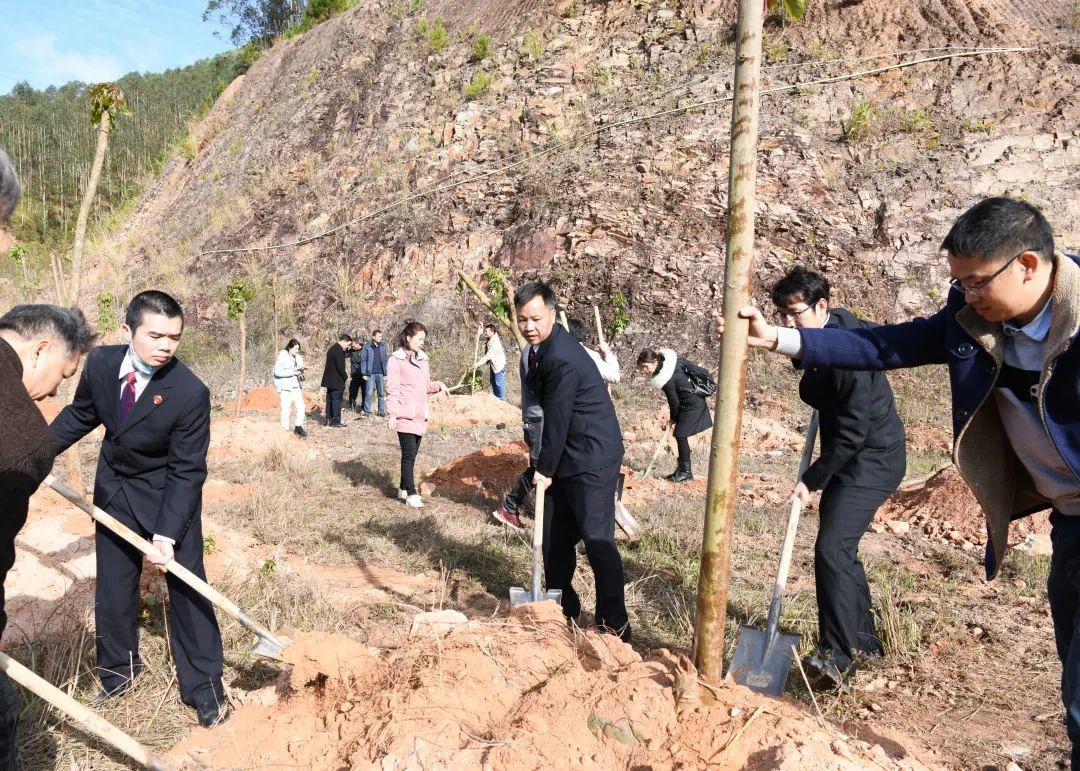 生态系统修复技术的艺术化表达及其应用探讨