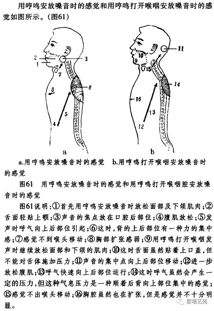 空旷原野中的身体共鸣实验，呼唤与回响的探索